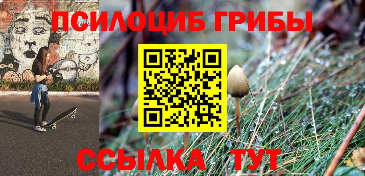 Галлюциногенные грибы мицелий  Псилоцибиновые грибы мухоморы  Вход с VPN  Обнинск 